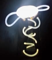 Platube LED Shoelaces Light up Laces