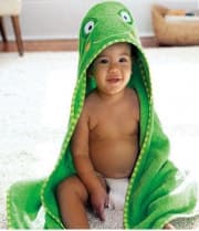 Skip Hop Zoo Hooded Towel Frog