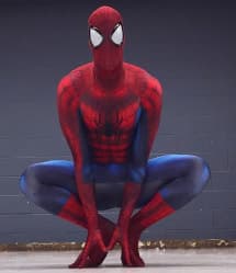 Spiderman Complete Cosplay Costume For Adults