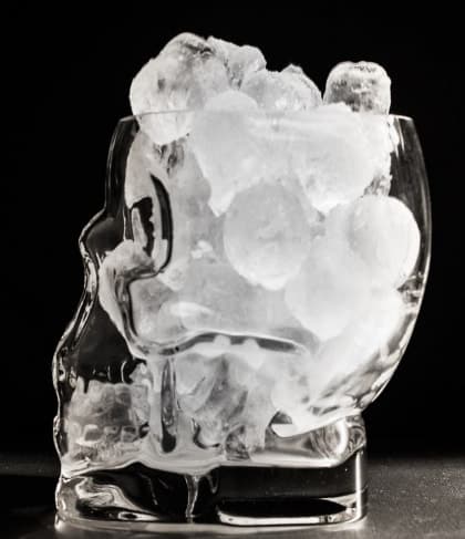 Brainfreeze Skull Ice Bucket